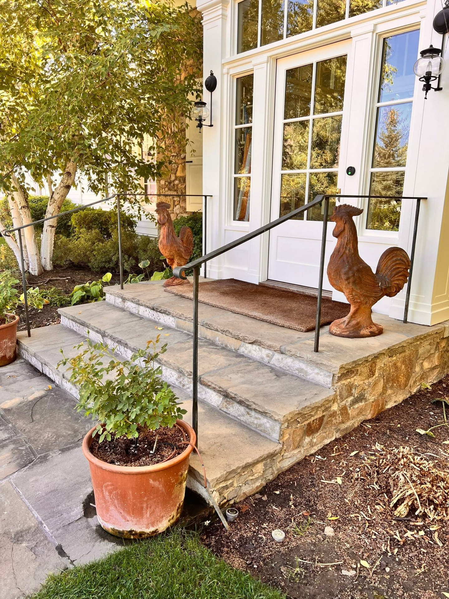 Outdoor stone steps with a thin black metal railing leading to a white front door